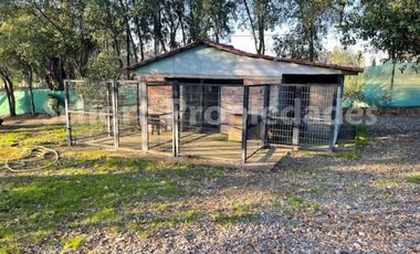 Casa en Venta en Orilla de Camino a Colín, cerca de talca, parcela de 5000 m2 con gran casa habitación