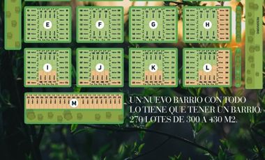 VENDE TERRENO EN ESTACION ALVEAR 2