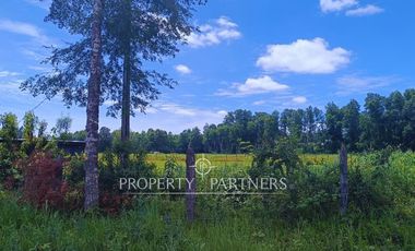 ¡Oportunidad! Parcela en  Panguipulli  con electricidad y agua - sector Huellahue.