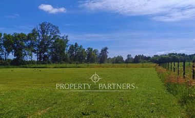 ¡Oportunidad! Parcela en  Panguipulli  con electricidad y agua - sector Huellahue.