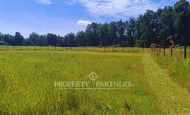 ¡Oportunidad! Parcela en  Panguipulli  con electricidad y agua - sector Huellahue.