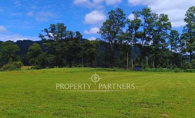 ¡Oportunidad! Parcela en  Panguipulli  con electricidad y agua - sector Huellahue.