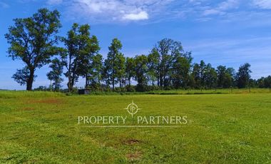 ¡Oportunidad! Parcela en  Panguipulli  con electricidad y agua - sector Huellahue.