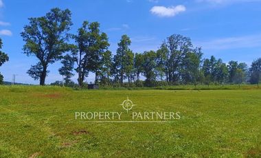 ¡Oportunidad! Parcela en  Panguipulli  con electricidad y agua - sector Huellahue.