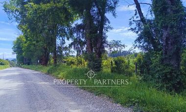 ¡Oportunidad! Parcela en  Panguipulli  con electricidad y agua - sector Huellahue.