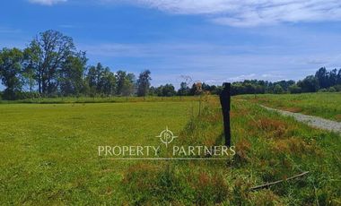 ¡Oportunidad! Parcela en  Panguipulli  con electricidad y agua - sector Huellahue.