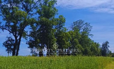 ¡Oportunidad! Parcela en  Panguipulli  con electricidad y agua - sector Huellahue.