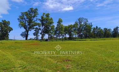 ¡Oportunidad! Parcela en  Panguipulli  con electricidad y agua - sector Huellahue.