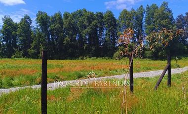 ¡Oportunidad! Parcela en  Panguipulli  con electricidad y agua - sector Huellahue.