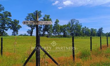 ¡Oportunidad! Parcela en  Panguipulli  con electricidad y agua - sector Huellahue.