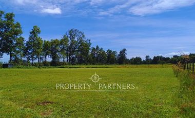 ¡Oportunidad! Parcela en  Panguipulli  con electricidad y agua - sector Huellahue.