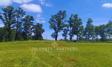 ¡Oportunidad! Parcela en  Panguipulli  con electricidad y agua - sector Huellahue.