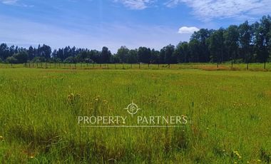 ¡Oportunidad! Parcela en  Panguipulli  con electricidad y agua - sector Huellahue.