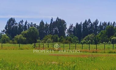 ¡Oportunidad! Parcela en  Panguipulli  con electricidad y agua - sector Huellahue.