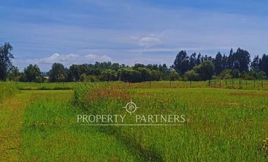 ¡Oportunidad! Parcela en  Panguipulli  con electricidad y agua - sector Huellahue.