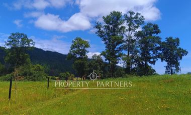 ¡Oportunidad! Parcela en  Panguipulli  con electricidad y agua - sector Huellahue.