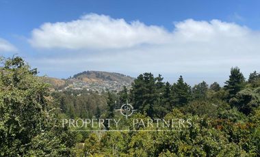 ARRIENDO POR DIA casa en condominio en Zapallar