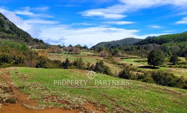 Patagonia, 365has campo orilla rios Pedregoso y Cisnes