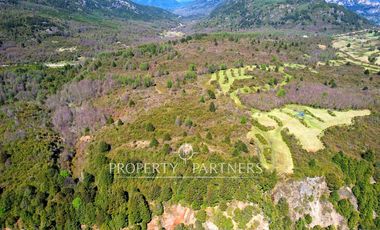 Patagonia, 365has campo orilla rios Pedregoso y Cisnes