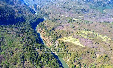 Patagonia, 365has campo orilla rios Pedregoso y Cisnes