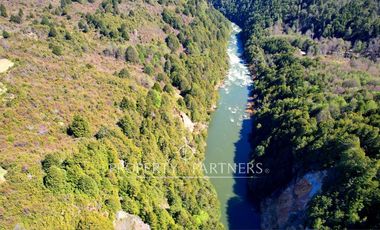 Patagonia, 365has campo orilla rios Pedregoso y Cisnes