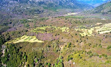 Patagonia, 365has campo orilla rios Pedregoso y Cisnes