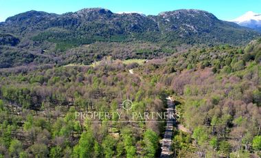 Patagonia, 365has campo orilla rios Pedregoso y Cisnes