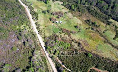 Patagonia, 365has campo orilla rios Pedregoso y Cisnes