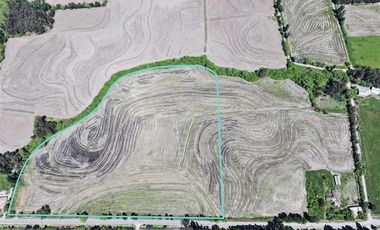 Agrícola en Venta en 35°47'14.7