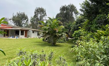 Venta de Casa De Campo En Pachacámac