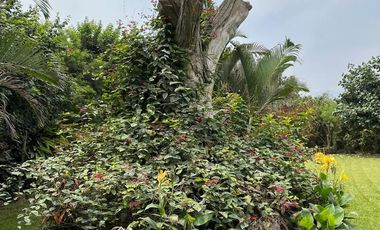 Venta de Casa De Campo En Pachacámac