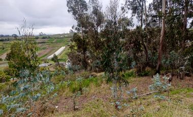 TERRENO EN VENTA EN SAMANGA. AMBATO