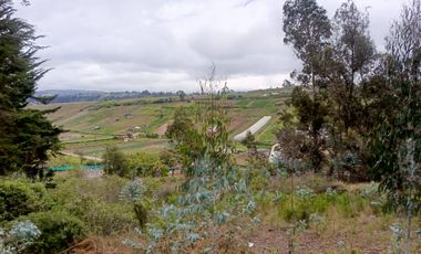TERRENO EN VENTA EN SAMANGA. AMBATO