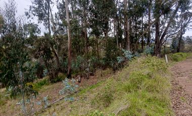 TERRENO EN VENTA EN SAMANGA. AMBATO