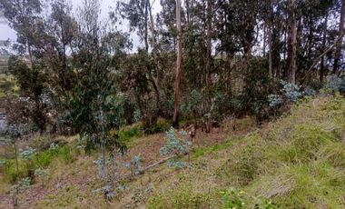 TERRENO EN VENTA EN SAMANGA. AMBATO