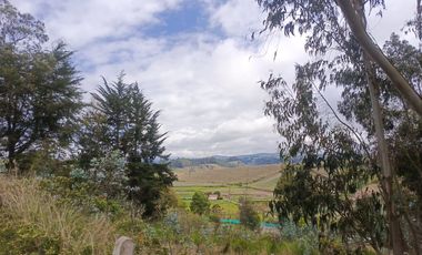 TERRENO EN VENTA EN SAMANGA. AMBATO