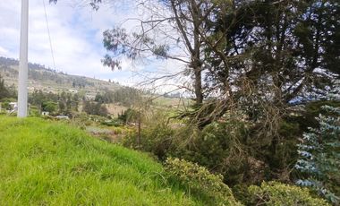 TERRENO EN VENTA EN SAMANGA. AMBATO