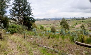 TERRENO EN VENTA EN SAMANGA. AMBATO