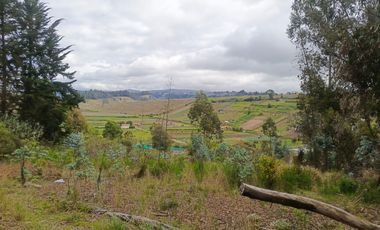 TERRENO EN VENTA EN SAMANGA. AMBATO