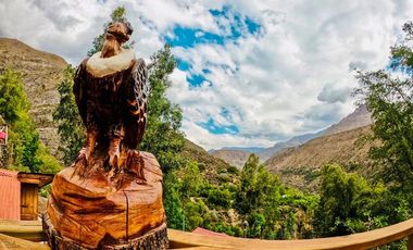 Complejo Turístico, cabañas-inversionistas