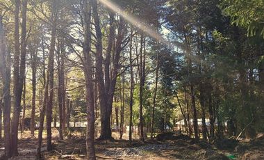 Venta terreno con casa, camino al Volcán Pucón