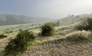CODIGUA