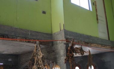 7,7 HECTAREAS URBANIZADA MALLARAUCO
