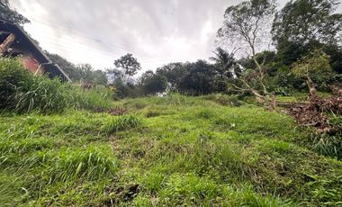 FINCA EN VENTA UBICADO EN SABANETA SECTOR PAN DE AZUCAR