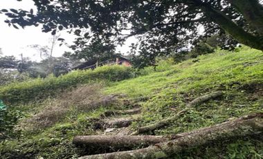 FINCA EN VENTA UBICADO EN SABANETA SECTOR PAN DE AZUCAR