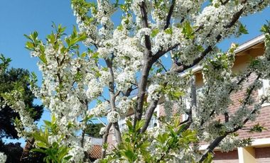 Hotel en venta - 11 Dormitorios 11 Baños - San Clemente del Tuyú