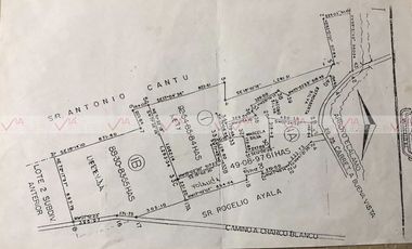 Palo Alto Vallecillo