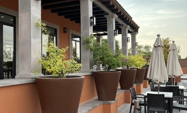 QUINTA DE ALLENDE I MODELO ROBLE