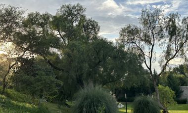 QUINTA DE ALLENDE I MODELO PINO