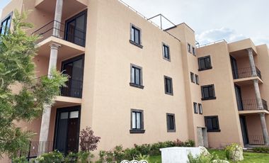 QUINTA DE ALLENDE I MODELO PINO